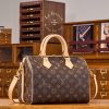 Sac Louis Vuitton Speedy