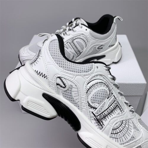 chaussure Dior chrono