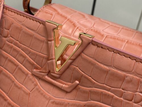 Sac Louis vuitton