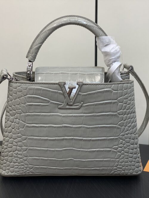 Sac Louis vuitton