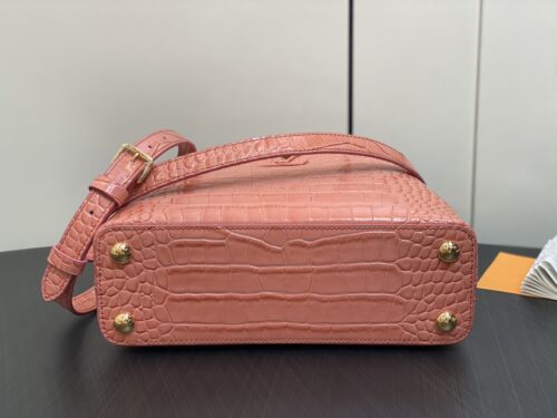 Sac Louis vuitton