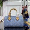 Sac Louis vuitton