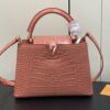 Sac Louis vuitton