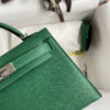 Sac Birkin 19cm