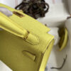 Sac Birkin 19cm